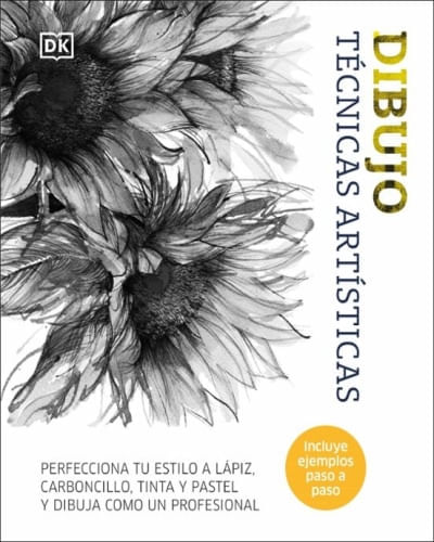 DIBUJO: TÉCNICAS ARTÍSTICAS