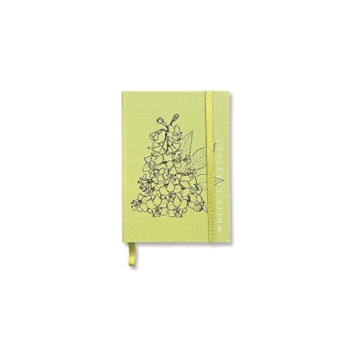 CUADERNO BOLSILLO WHITE CHESTNUT -VERDE MENTA - A6 TAPA DURA