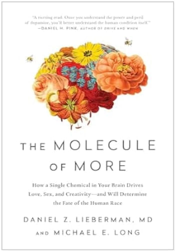 THE MOLECURE OF MORE