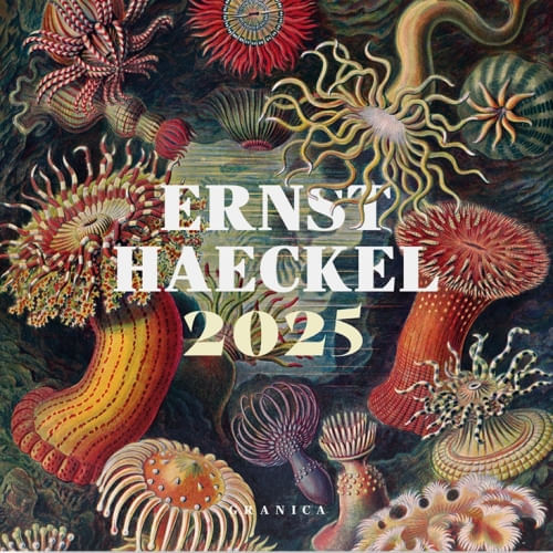 ERNST HAECKEL 2025, CALENDARIO DE PARED