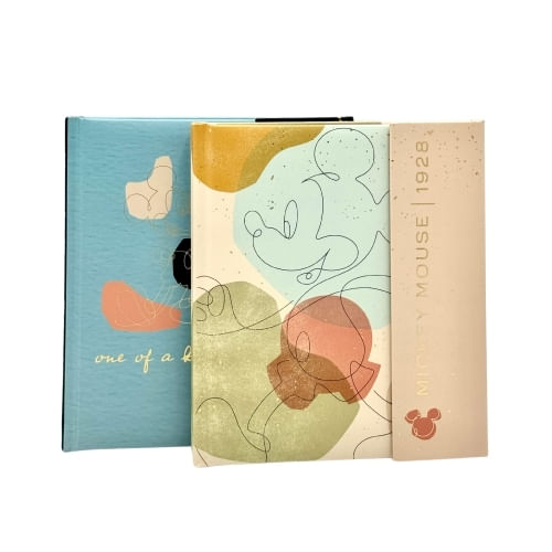 AGENDA 2025 DISNEY ICONIC POP