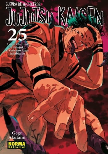 JUJUTSU KAISEN (GUERRA DE HECHICEROS) 25