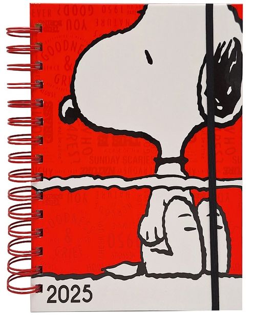 AGENDA 2025 SNOOPY