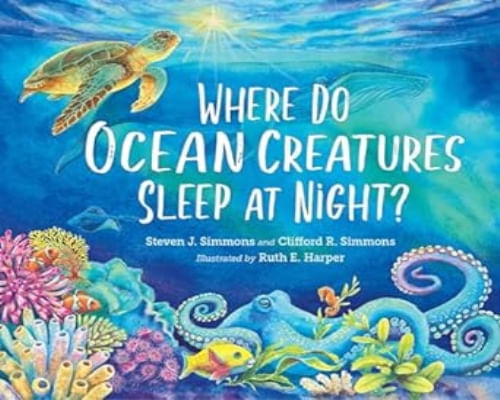 WHERE DO OCEAN CREATURES SLEEP AT NIGHT