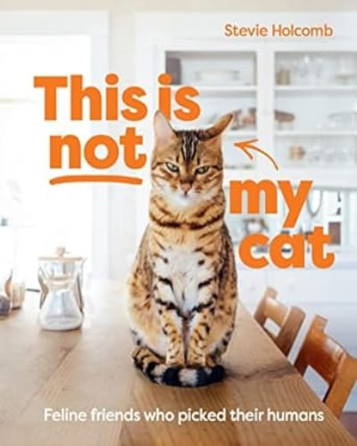 THIS IS NOT MY CAT