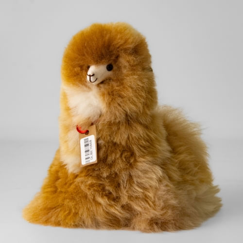 ALPACA ECHADA