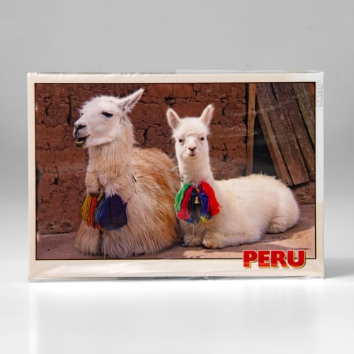 IMANES - PLACAS PERU
