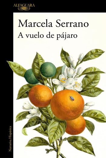 A VUELO DE PAJAROS / CUADERNOS