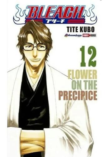 BLEACH N.12