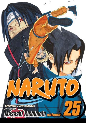 NARUTO 25