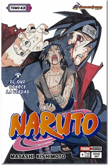 NARUTO 43