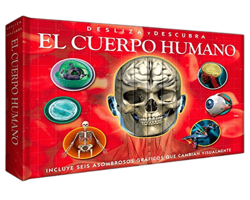 EL CUERPO HUMANO
