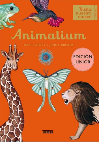 ANIMALIUM (JUNIOR EDITION)