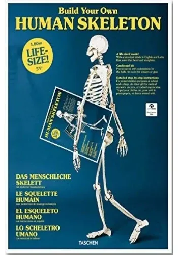 EL ESQUELETO HUMANO