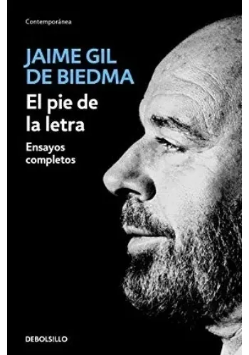 EL PIE DE LA LETRA