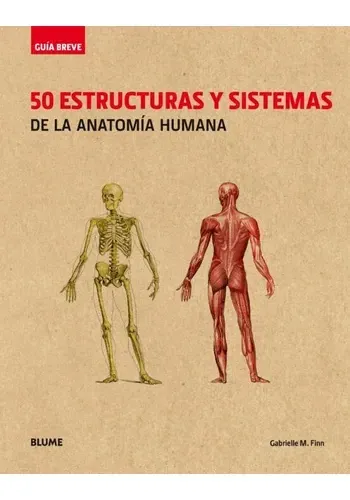 50 ESTRUCTURAS Y SISTEMAS DE LA ANATOMIA HUMANA