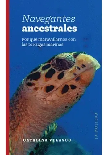NAVEGANTES ANCESTRALES. POR QUE MARAVILLARNOS CON LAS TORTUGAS MARINAS