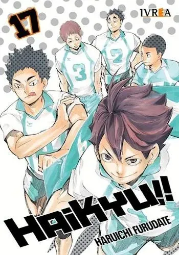 HAIKYU!! 17