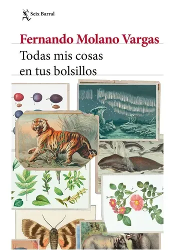 TODAS MIS COSAS EN TUS BOLSILLOS