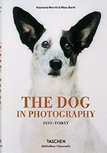 THE DOG IN PHOTOGRAPHY