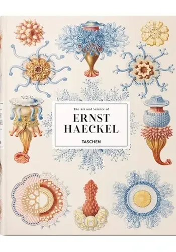 ERNST HAECKEL