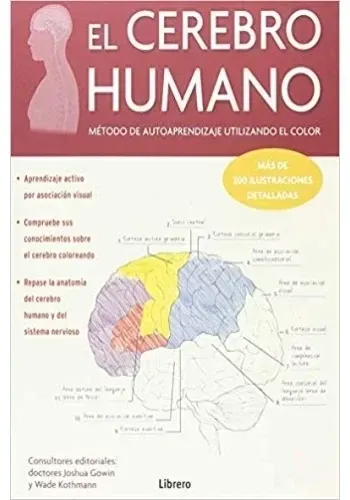 EL CEREBRO HUMANO