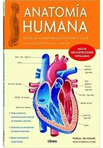 ANATOMIA HUMANA
