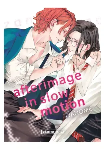 AFTERIMAGE IN SLOW MOTION
