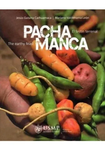 PACHAMANCA - EL FESTIN TERRENAL