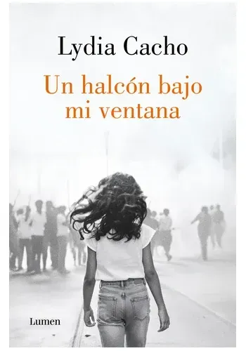 UN HALCON BAJO MI VENTANA
