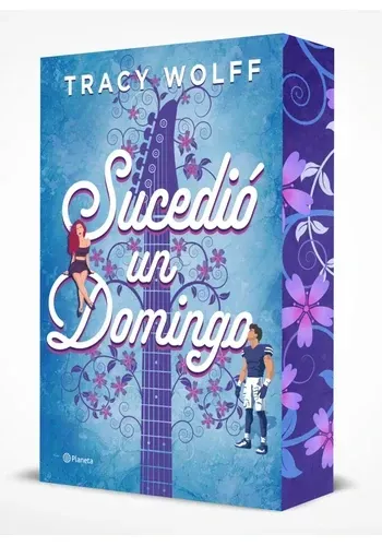 SUCEDIO UN DOMINGO