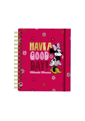 AGENDA 2027 MINNIE
