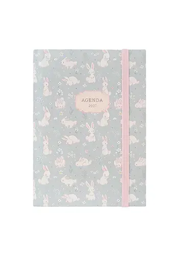 AGENDA 2027 ARTESCO MUJER CON LIGA MINTY + LAPICERO GL32 FUCSIA